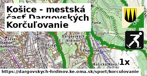 korčuľovanie v Košice - mestská časť Dargovských hrdinov