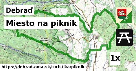 Miesto na piknik, Debraď