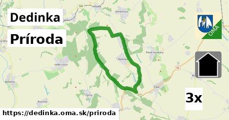 príroda v Dedinka