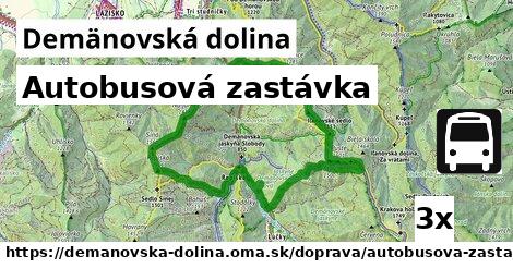 Autobusová zastávka, Demänovská dolina