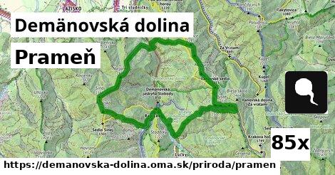 Prameň, Demänovská dolina