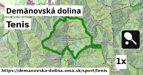 Tenis, Demänovská dolina