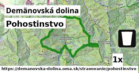 Pohostinstvo, Demänovská dolina