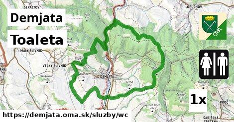 Toaleta, Demjata