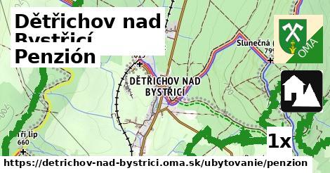 Penzión, Dětřichov nad Bystřicí