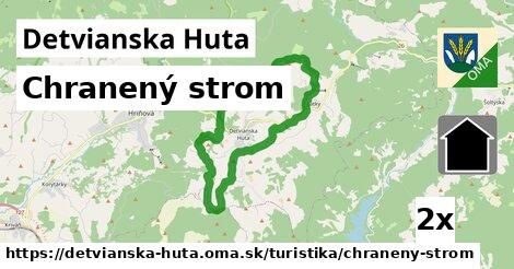 Chranený strom, Detvianska Huta