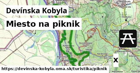 Miesto na piknik, Devínska Kobyla