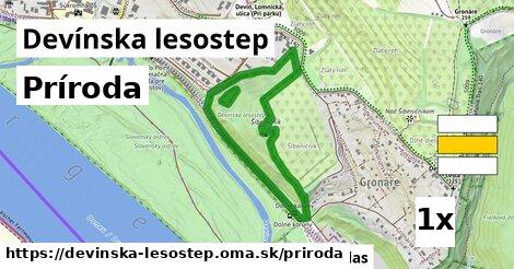 príroda v Devínska lesostep