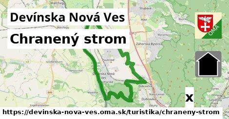 Chranený strom, Devínska Nová Ves