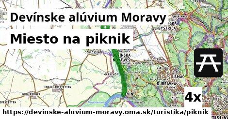 Miesto na piknik, Devínske alúvium Moravy