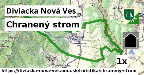 Chranený strom, Diviacka Nová Ves