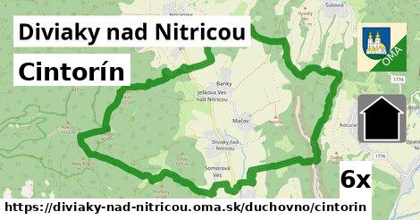 Cintorín, Diviaky nad Nitricou