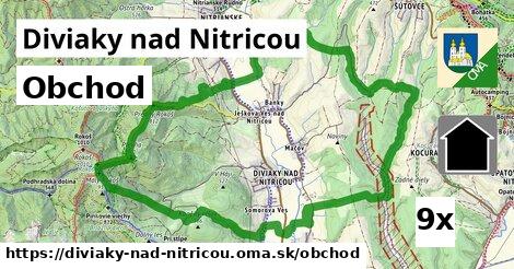 obchod v Diviaky nad Nitricou