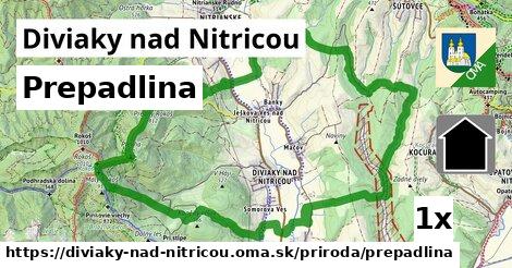 Prepadlina, Diviaky nad Nitricou