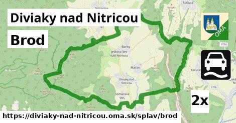 Brod, Diviaky nad Nitricou