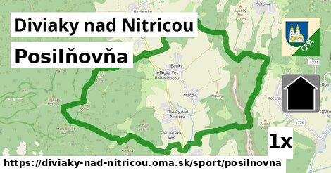 Posilňovňa, Diviaky nad Nitricou