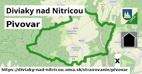 Pivovar, Diviaky nad Nitricou