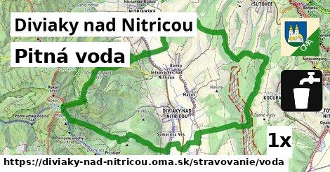 Pitná voda, Diviaky nad Nitricou