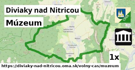 Múzeum, Diviaky nad Nitricou