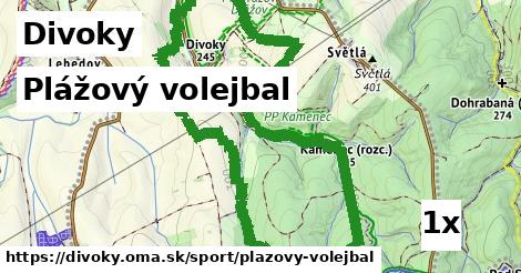 plážový volejbal v Divoky