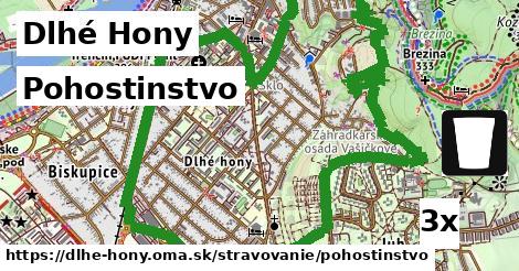 Pohostinstvo, Dlhé Hony