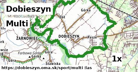 Multi, Dobieszyn