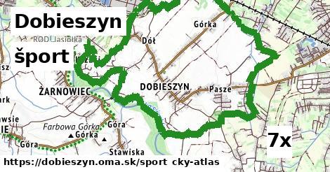 šport v Dobieszyn