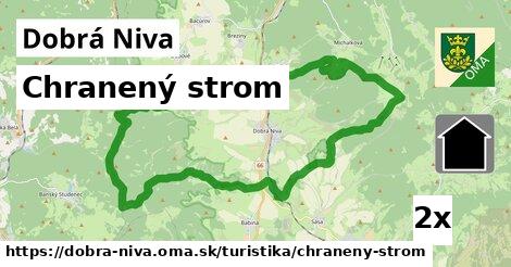 chranený strom v Dobrá Niva