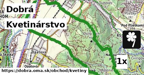 kvetinárstvo v Dobrá