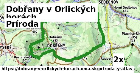 príroda v Dobřany v Orlických horách