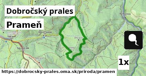 Prameň, Dobročský prales