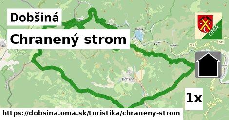 Chranený strom, Dobšiná