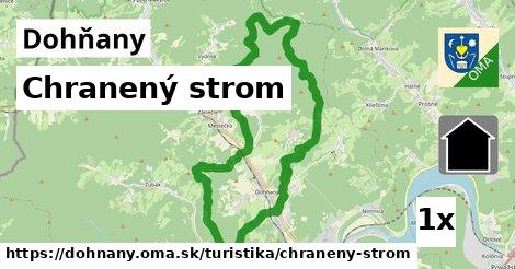 Chranený strom, Dohňany