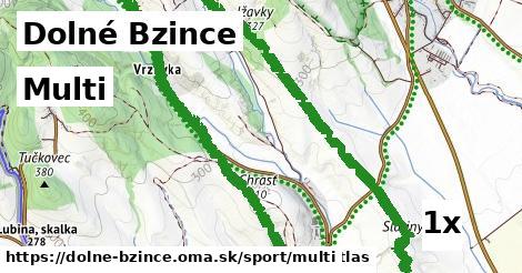 multi v Dolné Bzince