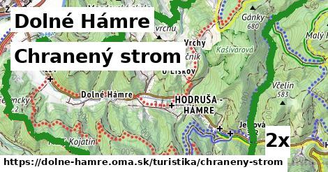 Chranený strom, Dolné Hámre