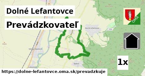 prevádzkovateľ v Dolné Lefantovce