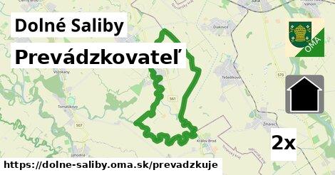 prevádzkovateľ v Dolné Saliby