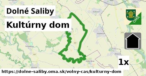 kultúrny dom v Dolné Saliby