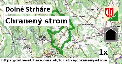 Chranený strom, Dolné Strháre