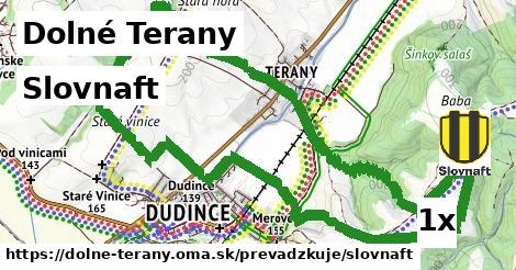 Slovnaft, Dolné Terany