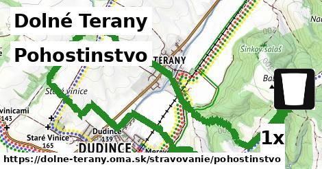 Pohostinstvo, Dolné Terany