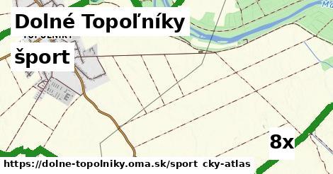 šport v Dolné Topoľníky