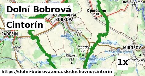 cintorín v Dolní Bobrová