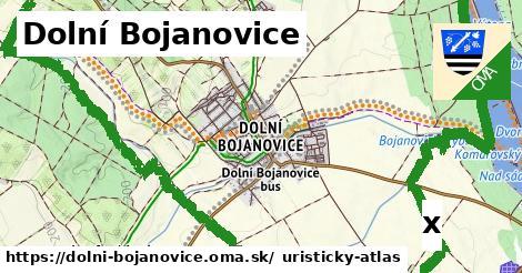 kríž v Dolní Bojanovice