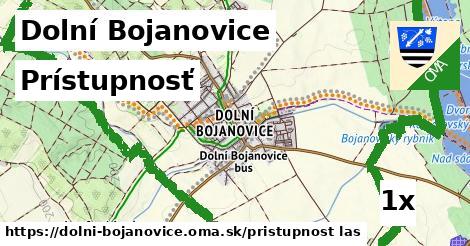 prístupnosť v Dolní Bojanovice