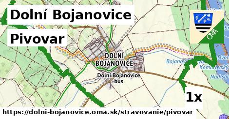 Pivovar, Dolní Bojanovice