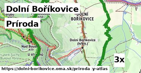 príroda v Dolní Boříkovice