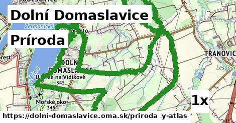 príroda v Dolní Domaslavice