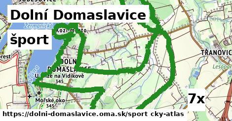 šport v Dolní Domaslavice
