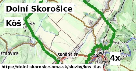 kôš v Dolní Skorošice